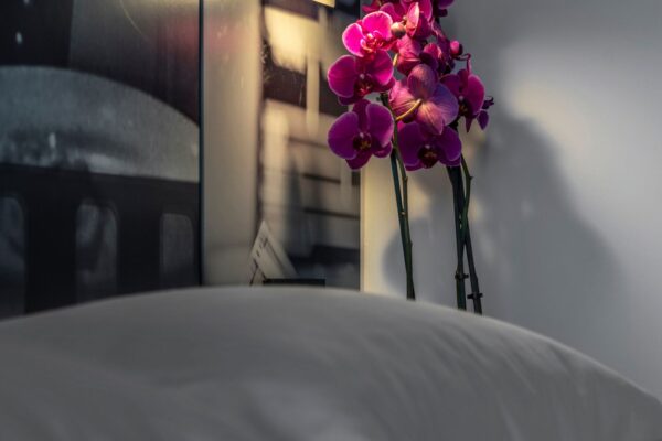 appartamenti 4 adulti riccione